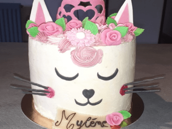 gâteau en forme de chat